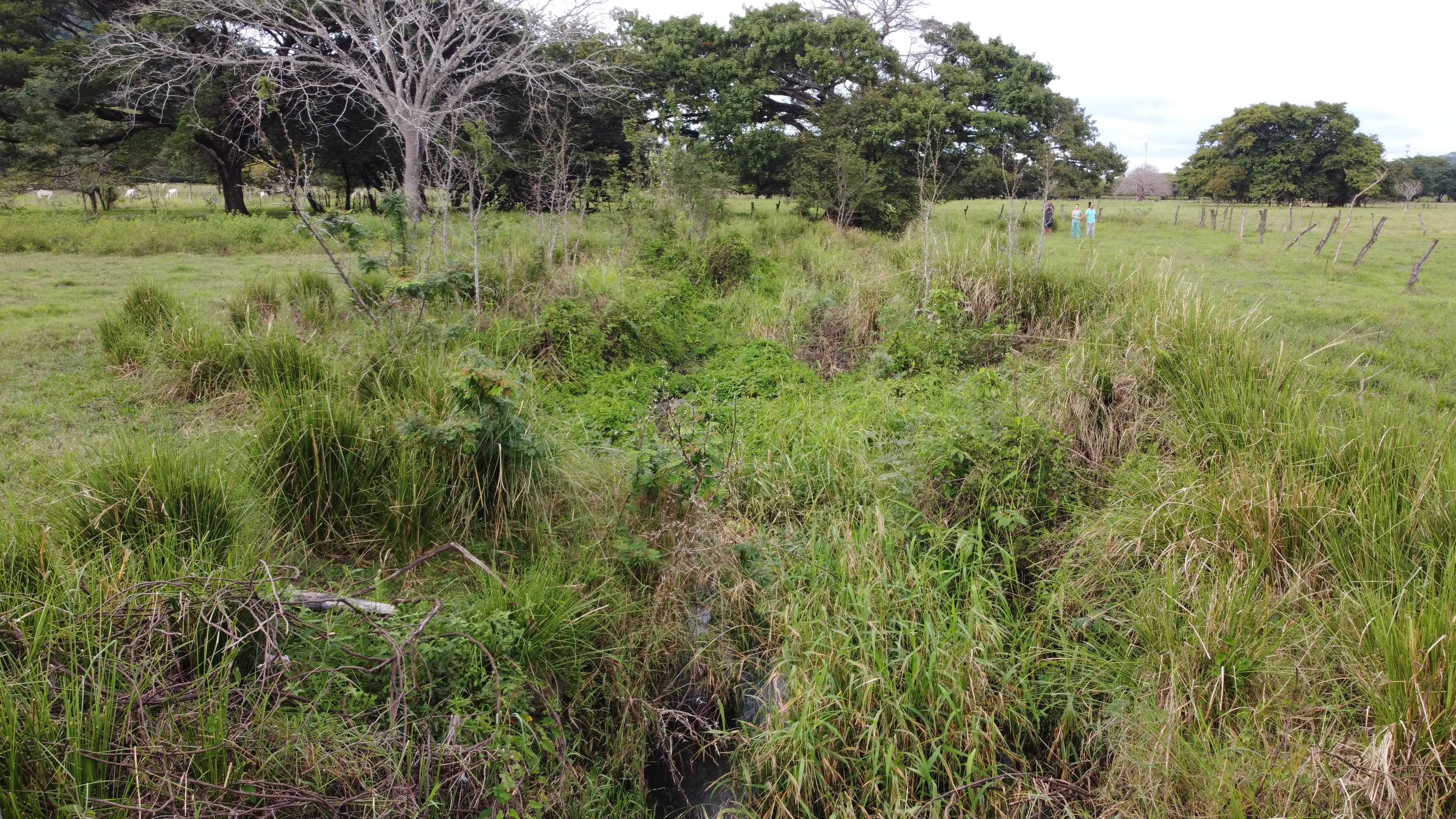 Site conditions showing where vetiver-based environmental services can be applied.