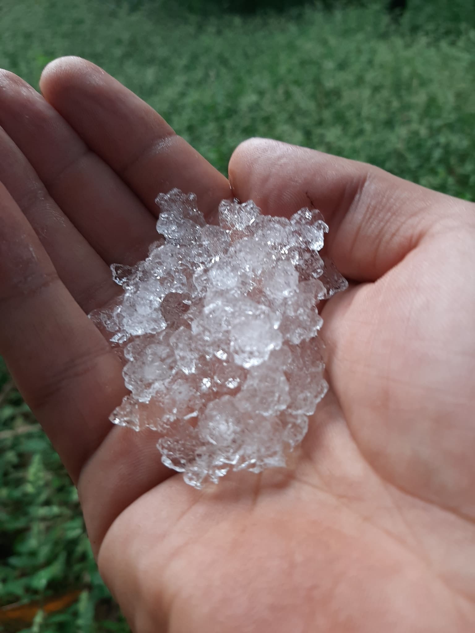 Using Hydrogel to implement Vetiver