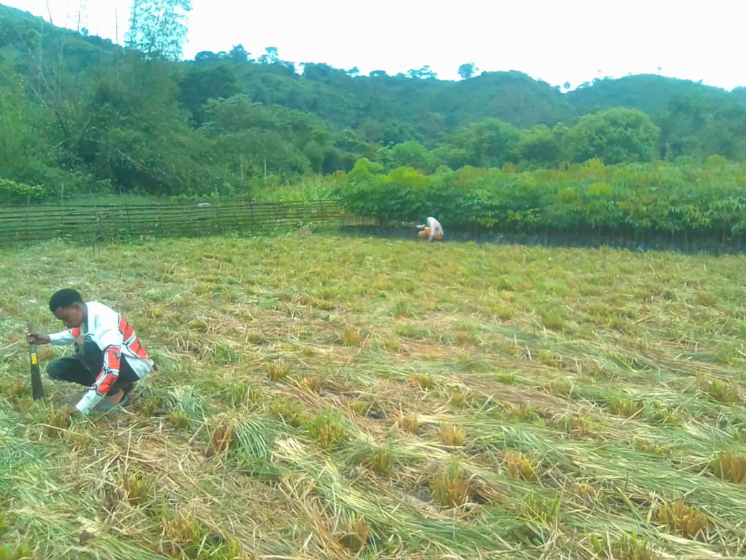 RDC field photo showing another step of the work.