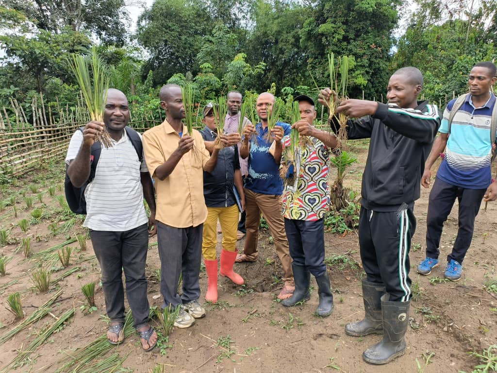 Groupe de terrain tenant des plants de vétiver à Yalusaka, Tshuapa, avril 2025.