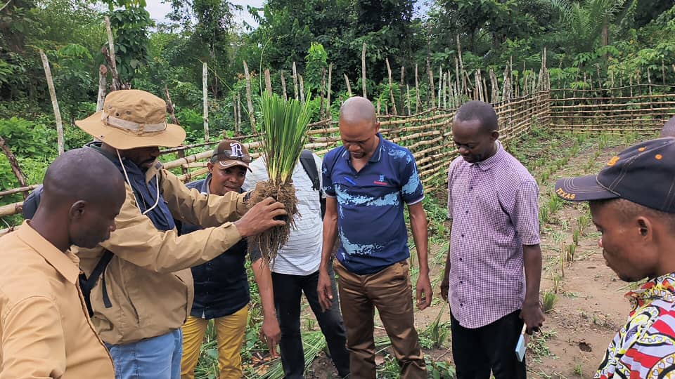 Community members with vetiver slips ready for planting.