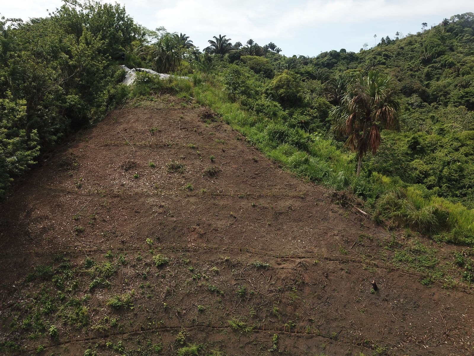 Avant : versant dénudé et érodé à Finca Sin Fronteras